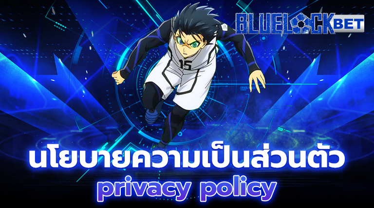 นโยบายความเป็นส่วนตัว