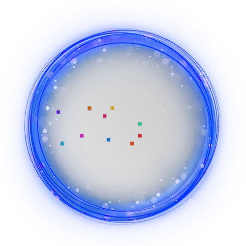 PG SOFT
